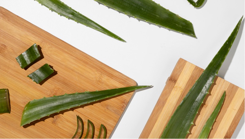 Donec sodales ligula ut ligula fermentum condimentum