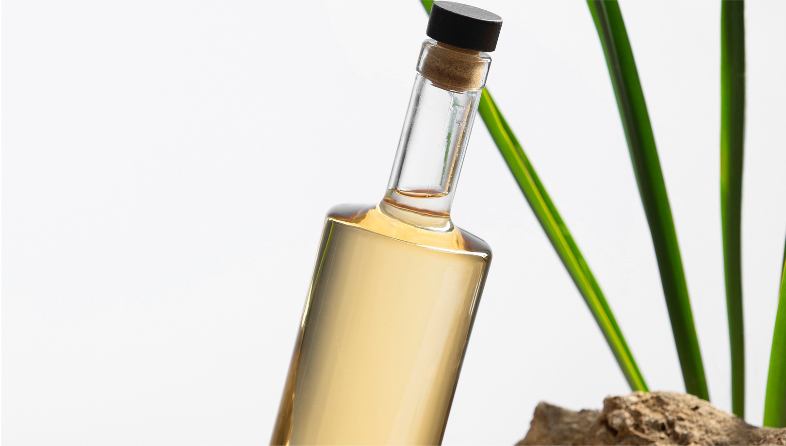 Praesent eget urna a velit consequat dictum non ut elit